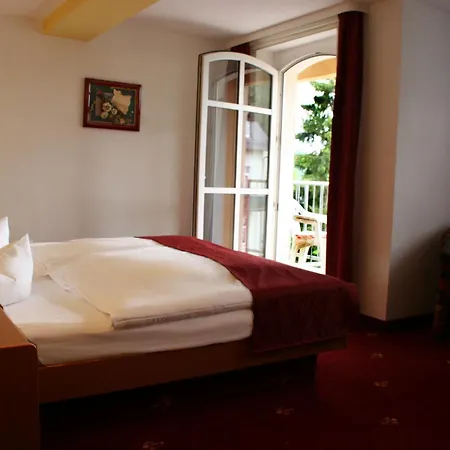 Parkhotel Helene باد إلستر