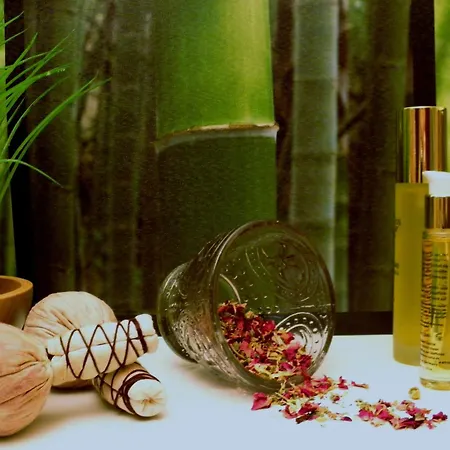 Parkhotel Helene Bad Elster