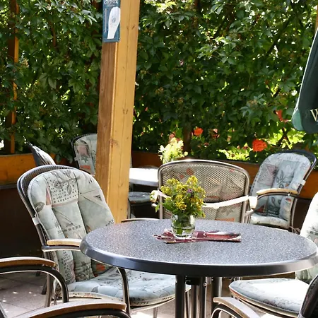 Parkhotel Helene فندق باد إلستر