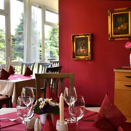 Parkhotel Helene Hotel Bad Elster