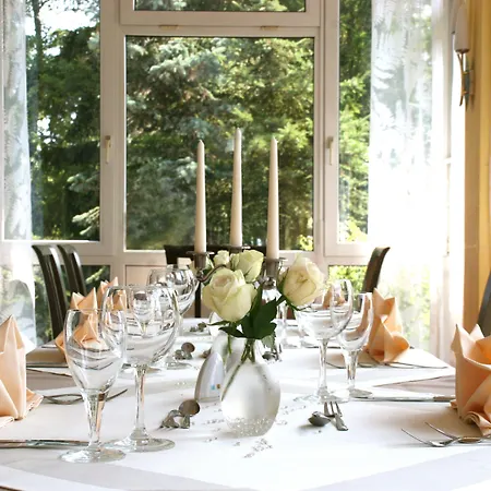 Parkhotel Helene Hotel Bad Elster