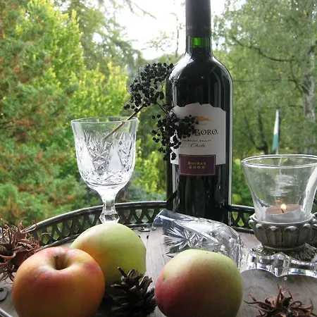 Hotel Parkhotel Helene Bad Elster