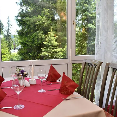 Parkhotel Helene Bad Elster