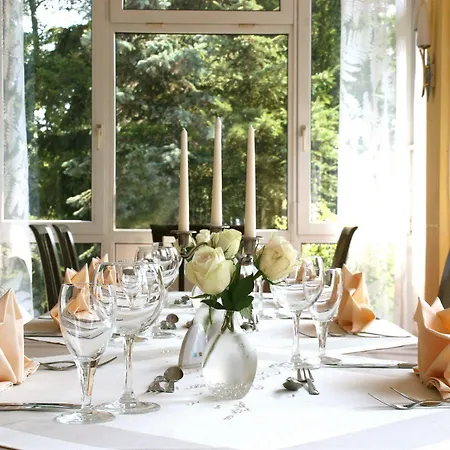 Hotel Parkhotel Helene Bad Elster