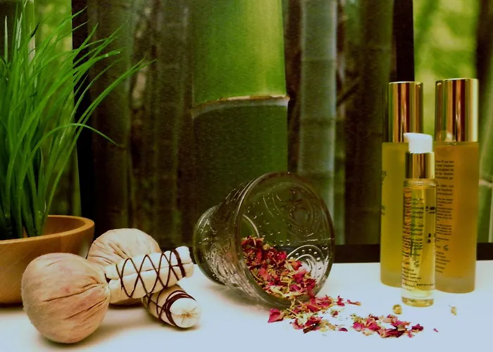 Parkhotel Helene Bad Elster