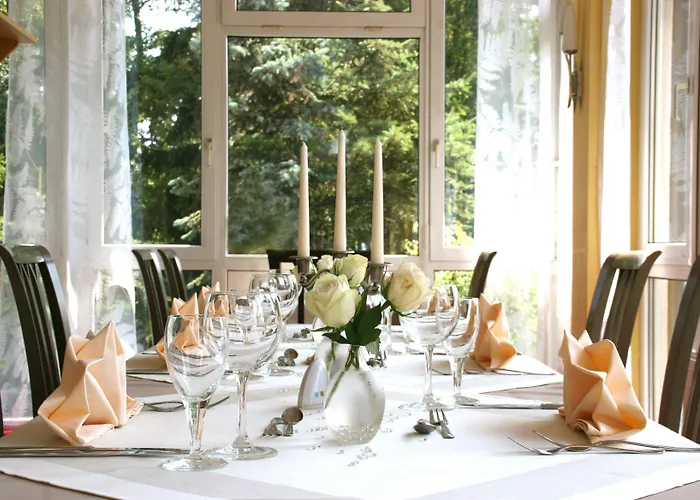 Parkhotel Helene Hotel Bad Elster