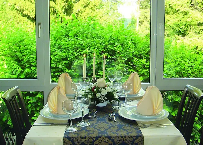 Parkhotel Helene バート・エルスター